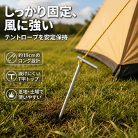 tent stake