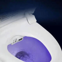 Instant Heating Smart Bidet Toilet Seat Body Sensor Handheld Controller Control Bidet Seat LED Display for Home
