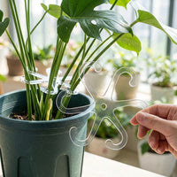 Indoor Plants Plant Support for Monstera Support, Clear Acrylic Plant Supports for Indoor Plants, Hexagonal Design Plant Sticks Support, 1 Pack