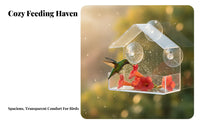 birds Feeder Clear Design Suction Cup birds Feeder Easy Installation Pet Supply for Outdoor, Garden, Backyard