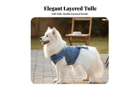 Season Summer Wear Denim Dog Tutu Accent Star Pattern Dog Dress With Knot for Photo Shoots, Birthdays, Outdoor Walks