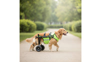 Padded Dog Wheelchair with Back-Leg Support Stable Dog Wheelchair with 2 Wheels Lightweight Rehabilitation Cart Long-Lasting for Disabled Dogs