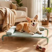 Elevated Dog Bed Easy to Clean Portable Pet Cot Bed Cooling Ventilation Moisture Proof for Indoor
