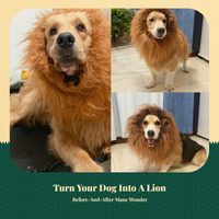 Pet Lion Mane Wig, Funny Dog Costume, Halloween Accessory