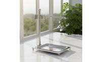 Bird Perch Rack with Food Cups Stainless Steel Floor Standing Bird Stand with Tray Parrot Perch with Cups Freestanding
