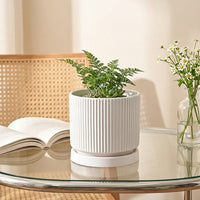 Plant Pots for House Plants and Indoor Plants, Modern Ribbed Ceramic Pot with Saucer, Minimalist Indoor Plant Pot with Drainage Hole, Bonsai Pot