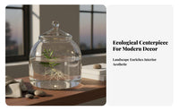 Desktop Self-Sustaining Environment Bottle Multipurpose Micro Landscape Bottle Compact Size Terrarium for Hobbyists, Students, Tabletop, Living Room