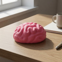 Raised Grooves Brain Squishy Toy Pink Brain Stress Ball Slow Rising Anatomy Stress Ball Handheld
