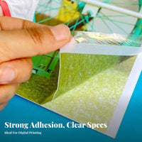 Biaxially Oriented Polypropylene Film Thermal Film Anti-Air Pocket Biaxially Oriented Polypropylene Film Laminating Film Roll