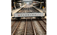Detailed Lettering Florida FEC Carbon Car Exact Fit N Scale Freight Car Miniature Accessory Hopper Load Insert Easy Installation for Railway Collectors, Miniature Scene