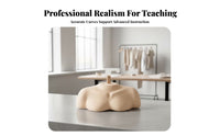 Plastic Shoulder Support Base Smooth Hairdressing Head Form Base Molded for Salon Practice