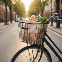 Thickened Frame Metal Bike Front Basket Easy Install Heavy Duty Bike Basket for Shopping