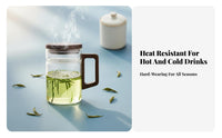 Tea Mug with Strainer and Lid Heat Resistant Tea Mug Strainer Lid Set Ideal Gift Clear Borosilicate Glass Teacup for Adults, Home, Kitchen, Restaurant