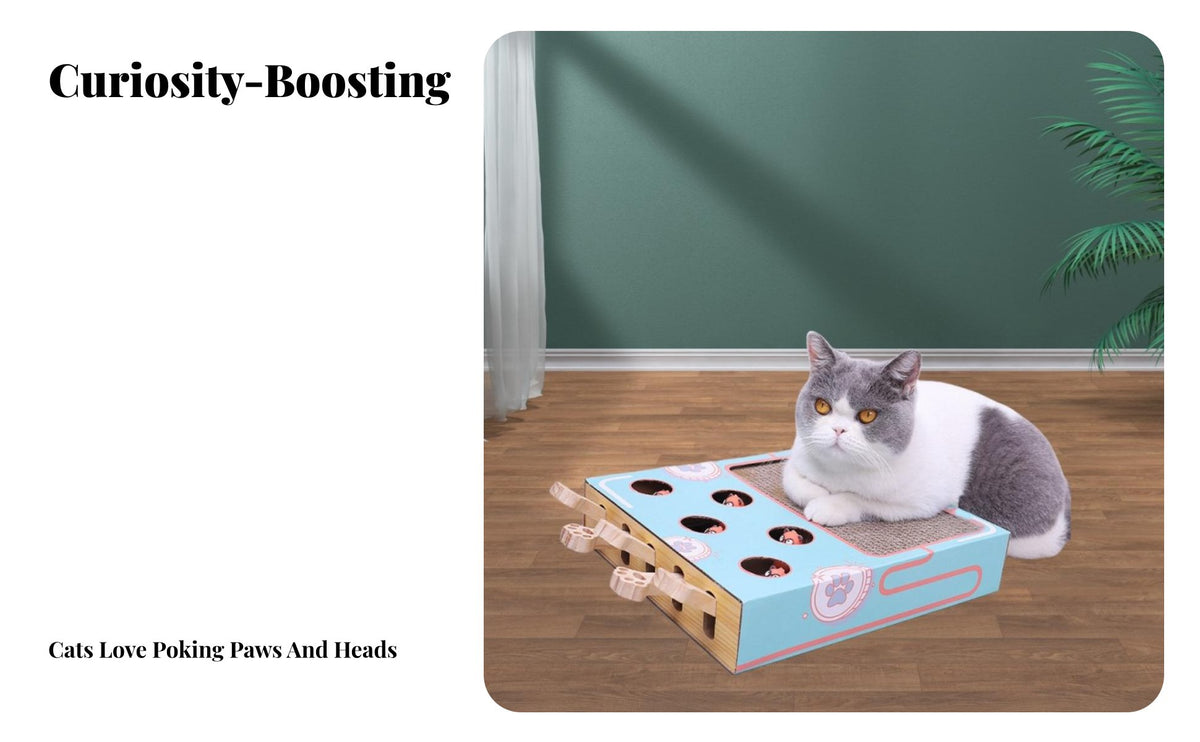 Whack-a-Rodent Cat Toy Promotes Healthy Claws Cardboard Cat Scratcher Box Scratching Board Satisfies Natural Instincts Solo-Play