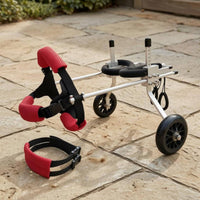 Dog Wheelchair Padded Adjustable Dog Wheelchair Lightweight for Dogs