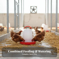 Automatic Fowl Waterer Easy to Clean Fowl Feed Bucket Automatic Chicken Waterer for Farmers, Backyard
