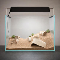 reptile hideout