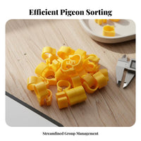100 Pieces Pigeon Foot Rings Easy to Apply Pigeon Identification Rings Sturdy Numbered Bird Leg Bands for Aviaries, Aviary, Farms