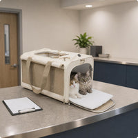 Large Cat Travel Top of the Bag Handle Foldable Cat Carrier Easy to Easy to Maintain Soft Sided Pet Carrier for Outdoor