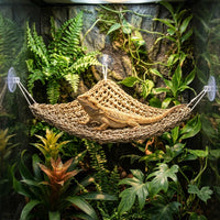 Grass Fiber Hammock for Bearded Reptile Enclosure, Bearded Reptile Hammock, Water-Resistant Elevated Basking Perch