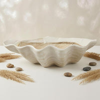 Shell Tray Shallow Home Decor Decorative