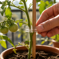 Plant Vine Clips for Climbing Plants, Fruit Trees, and Vegetables - Support and Training Clips