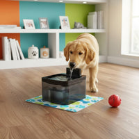 Infrared Sensor Smart Pet Drinking Fountain Rechargeable Battery Feline Water Fountain Quiet Operation for Cats