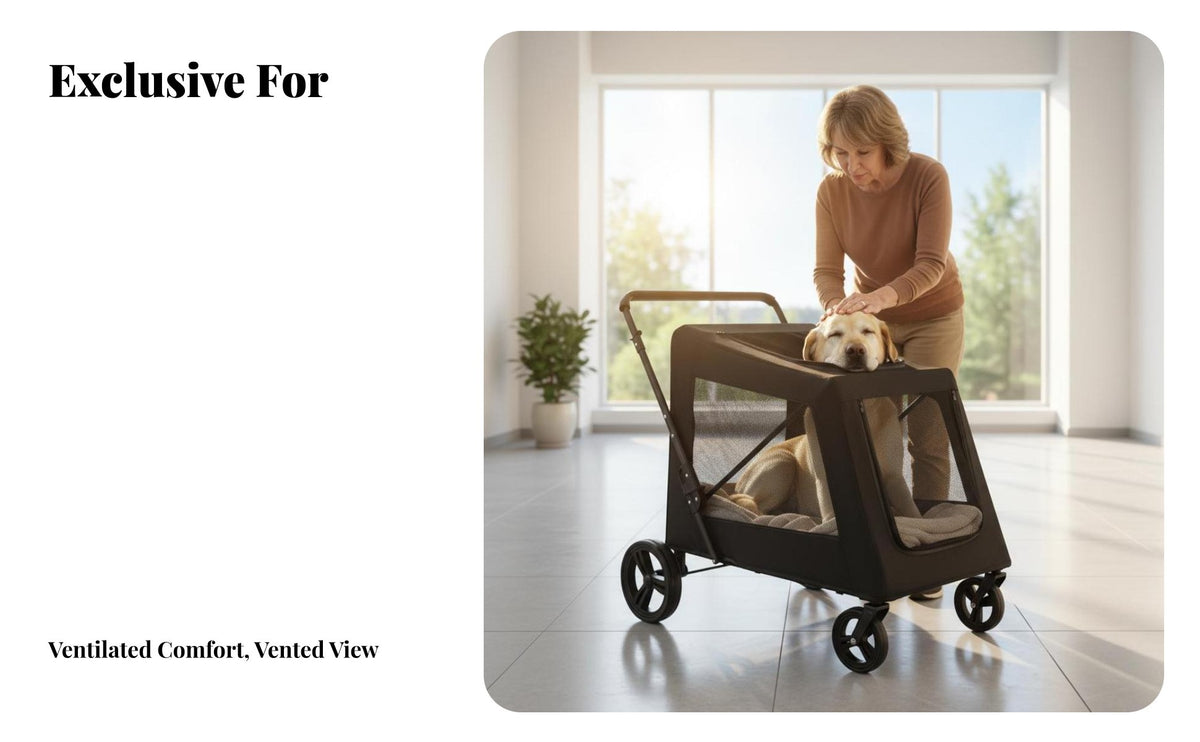 Large Dog Pet Carriage Lightweight Design Foldable Pet Carriage Sturdy Frame Folding Pet Carriage for Owners of Elderly Pets, Outdoor, Park Walks