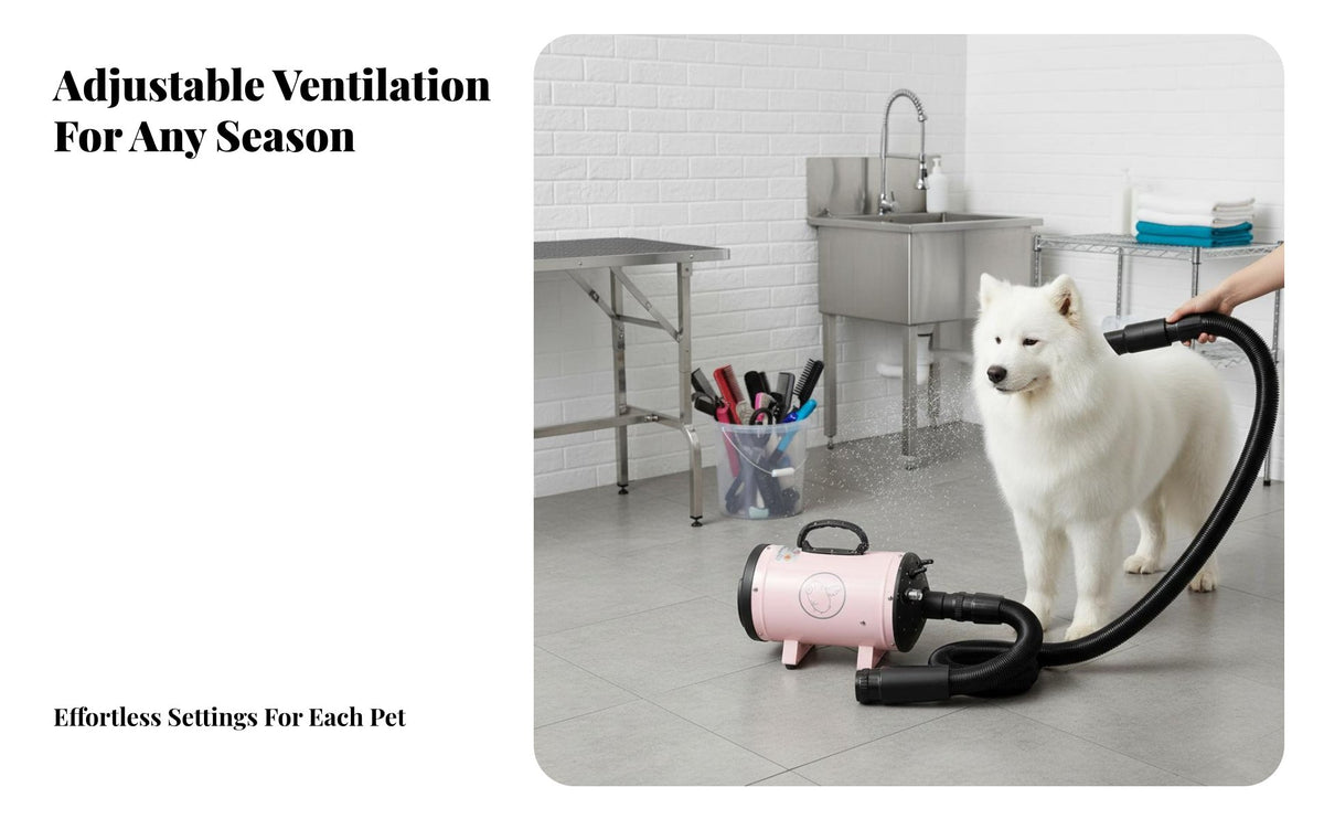 Low Noise Dog Hair Force Dryer Variable Speed Control Dog Grooming Blower Adjustable Heat High Velocity Pet Dryer Built-in Heater for Professional Groomers