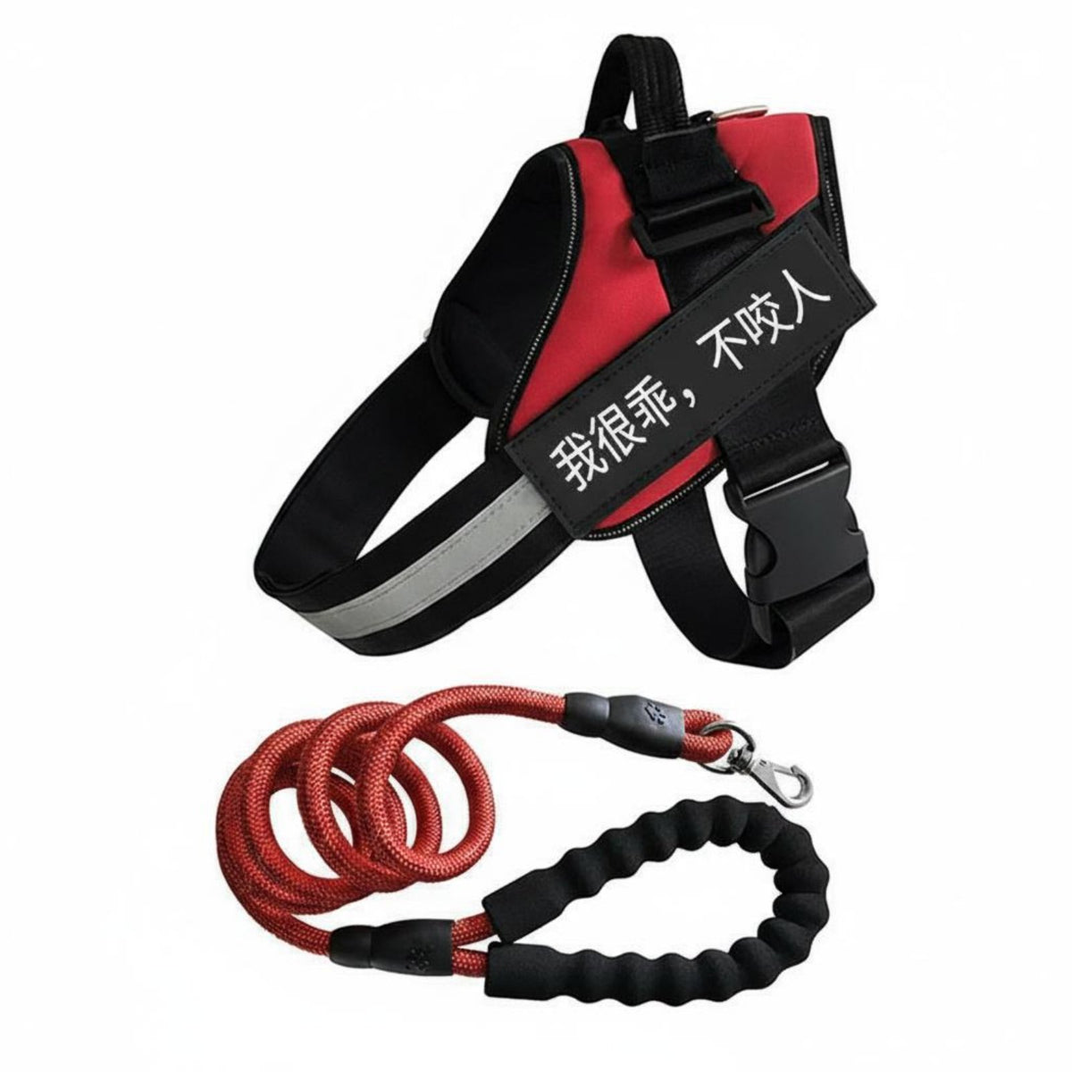 Easy Walk Vest Type Dog Harness Lightweight Dog Harness and Leash Set Heavy Duty Buckle for Dogs, Young Dogs, Outdoor, Daily Use, Training