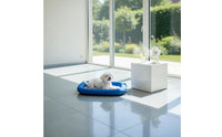 Breathable Self-Cooling Pet Mat Cute Cartoon Design Cooling Pet Bed Neck Support Ice Silk Dog Mat Non-Slip Bottom for Cats, Small Dogs, Indoor