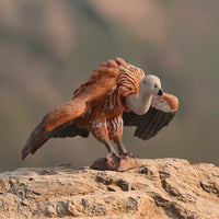 Vulture Figurine Realistic Vulture Model Lifelike for Shelf Decor, Desk Display