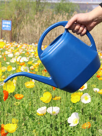 Long Spout Plastic Watering Can for Indoor & Outdoor Plants, Garden & Vegetable Watering Pot