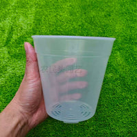 Clear Hard Plastic Orchid & Succulent Nursery Pot with Drainage Holes