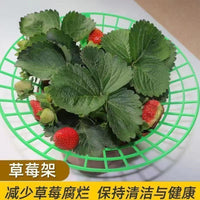 Strawberry Plant Support Stand for Garden and Potted Plants, Prevents Rot and Waterlogging
