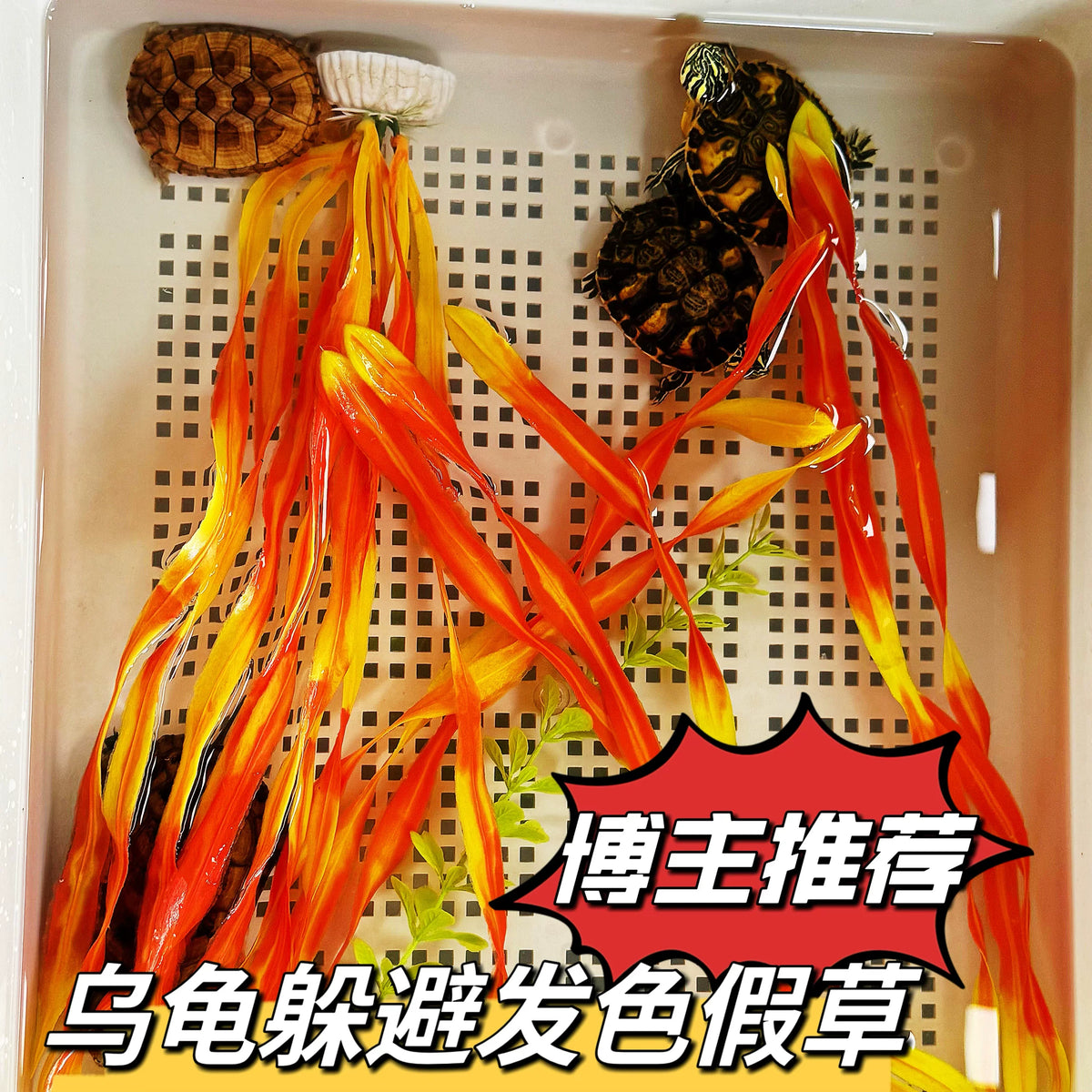 Artificial Kelp for Turtle Tank Decoration and Color Enhancement