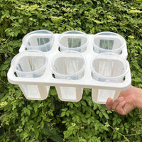 3-inch Planter with 6-Cell Tray, High Transparency Root Observation Pot for Succulents, Roses, Begonias, and Moss
