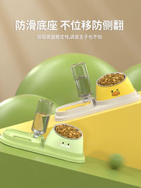 Elevated Pet Food and Water Bowl Set with Automatic Dispenser for Cats and Dogs