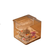 Miniature Landscape Fish Tank for Cats and Fish