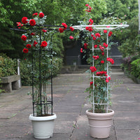 Umbrella-Shaped Metal Plant Trellis for Climbing Vines and Roses, Outdoor Garden Support