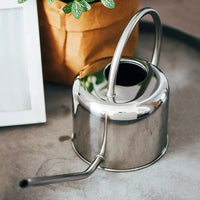 Stainless Steel Long Spout Watering Can for Indoor Plants