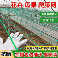 Garden Trellis Netting for Climbing Plants, Fruits, and Vegetables