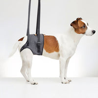 Dog Rear Leg Support Harness for Injured or Elderly Dogs