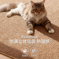 Mid-Century Style Sisal-Look Machine Washable Linen Woven Rug for Living Room & Pet Owners