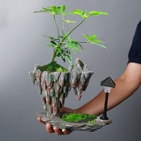 Creative Aerial Planter Resin Rockery Bonsai Pot for Indoor Decor