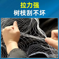 Bird Netting for Fruit Trees, Gardens, and Ponds - Durable Nylon Mesh Protection