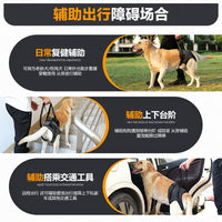 Dog Rear Leg Support Harness for Injured or Elderly Dogs - Mobility Aid for Walking and Recovery