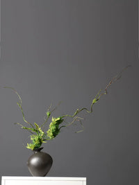 Artificial Vine Dried Branch Moss Plant Decoration for Floral Arrangements Home Indoor Background Window Display Wall Hanging Greenery