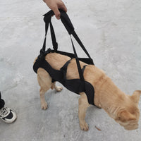 Pet Support Harness for Injured, Elderly, or Disabled Dogs