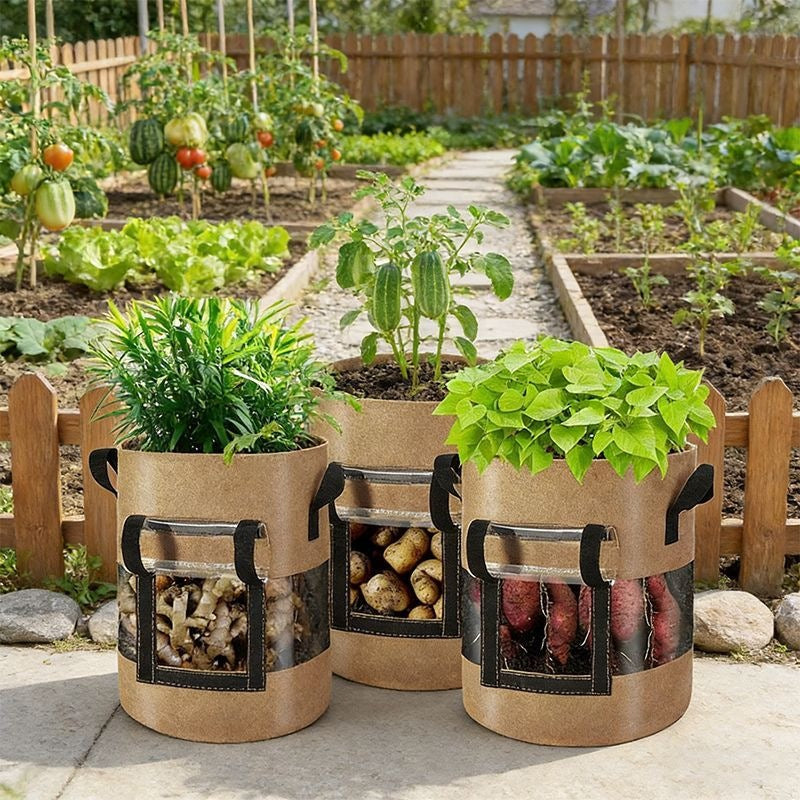Reusable Non-Woven Potato Grow Bag with Clear Window and Handles